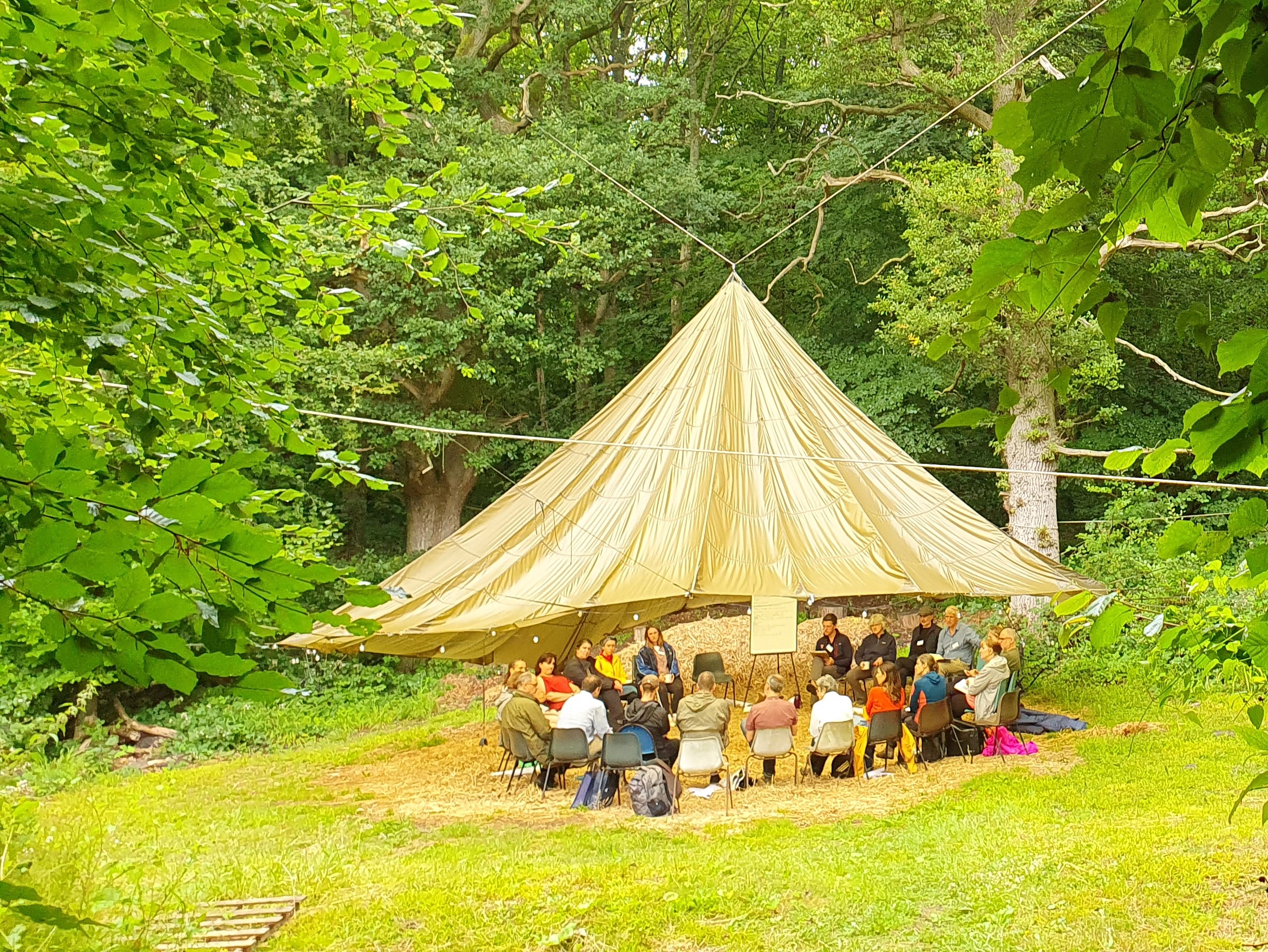 A group of people sitting under a tent in Wytham Woods
