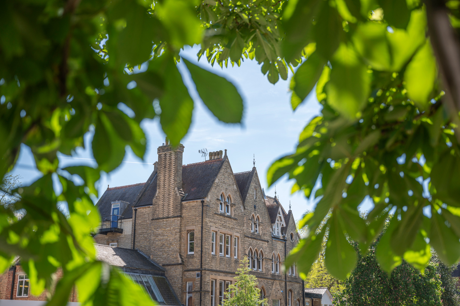 Students Emotional Landscape In English Medium Higher Education A Students Emotional Landscape In English Medium Higher Education A